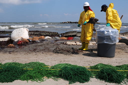 Picture of (HSE) workers on the beach 